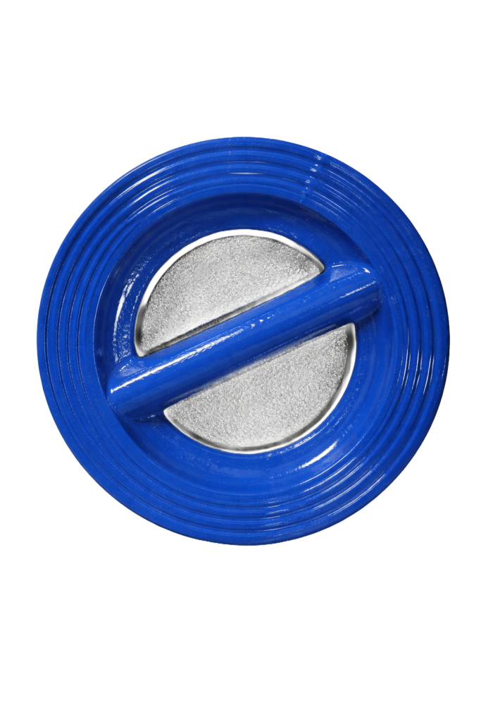 Клапан обратный поворотный 19ч21р DN 200 PN 16