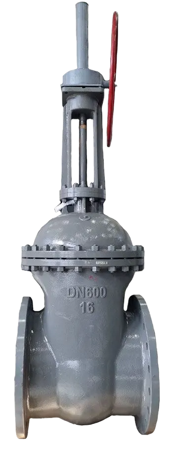 Задвижка клиновая 30с541нж DN 50 PN 16