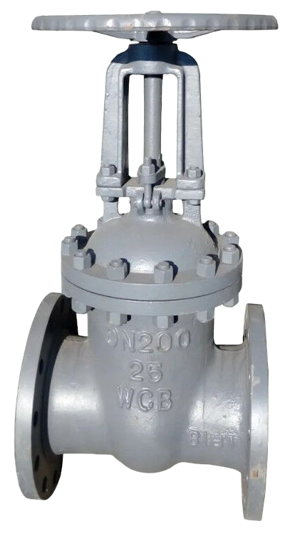 Задвижка 31с45нж DN 25 PN 160