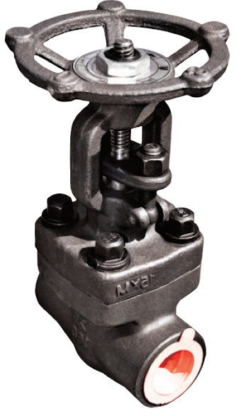 Задвижка 31с77нж DN 25 PN 160